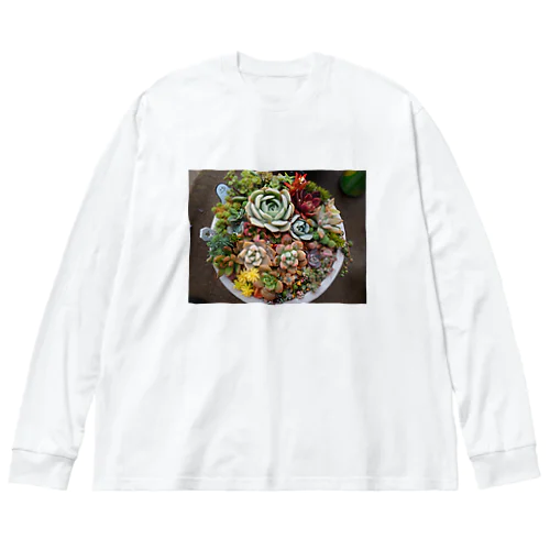 多肉植物寄せ植え Big Long Sleeve T-Shirt