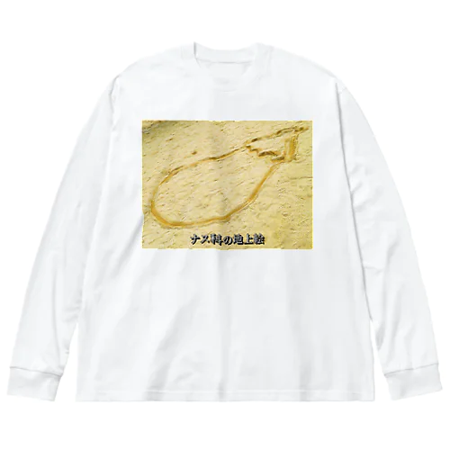 ナス科の地上絵 Big Long Sleeve T-Shirt