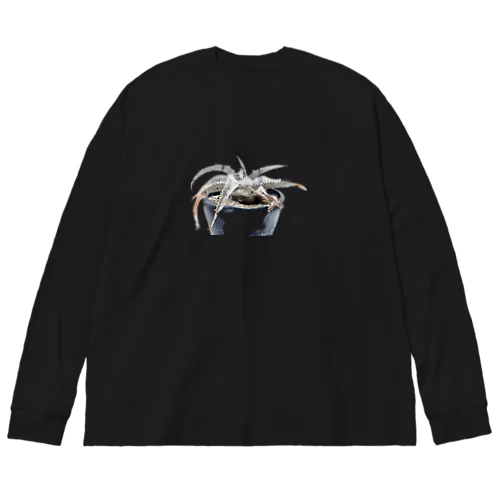 ディッキア　マルニエルラポストレイ Big Long Sleeve T-Shirt