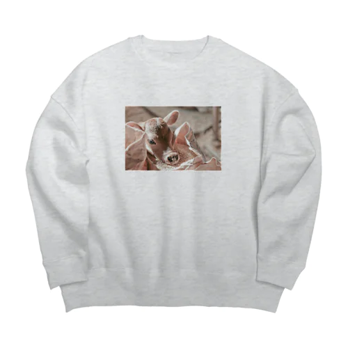 チョコフォトプリント Big Crew Neck Sweatshirt