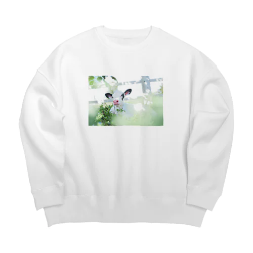 ホルフォトプリント Big Crew Neck Sweatshirt