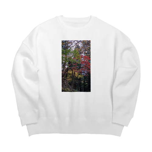 ＧＲＹ Big Crew Neck Sweatshirt