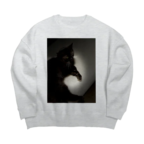 Cathouse 2tee Big Crew Neck Sweatshirt