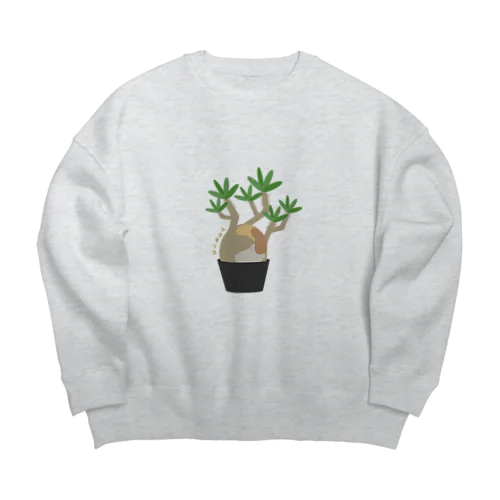 パキポディウムグラキリス(象牙宮） Big Crew Neck Sweatshirt