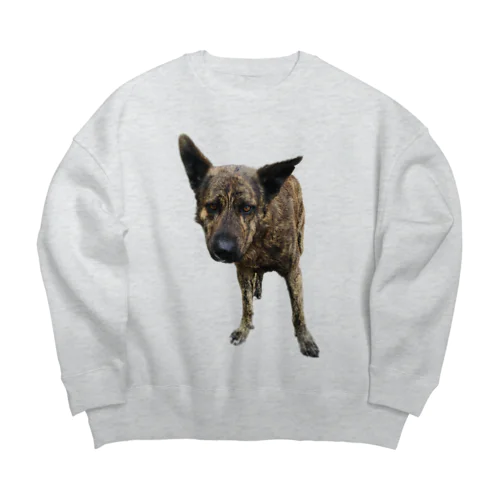 愛犬注意 Big Crew Neck Sweatshirt