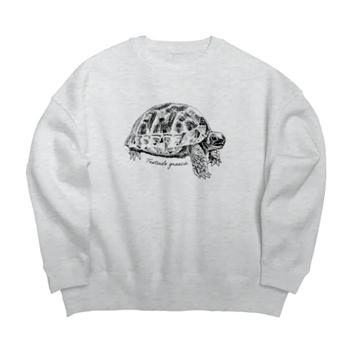 ギリシャリクガメ(デッサン) Big Crew Neck Sweatshirt