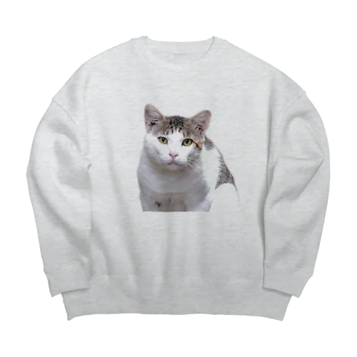 猫の写真の服 Big Crew Neck Sweatshirt