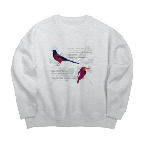 琉球の鮮やかな鳥たち Big Crew Neck Sweatshirt