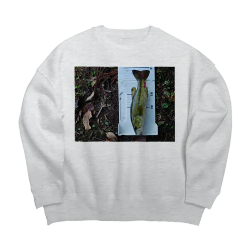 Big Crew Neck Sweatshirt