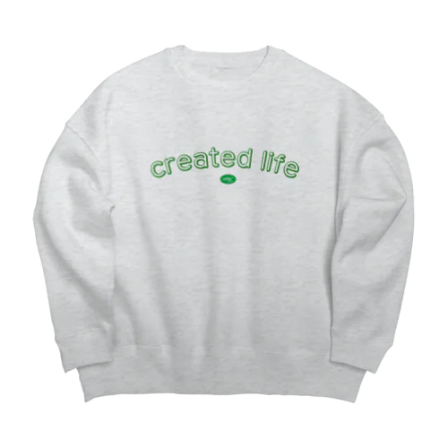 え Big Crew Neck Sweatshirt