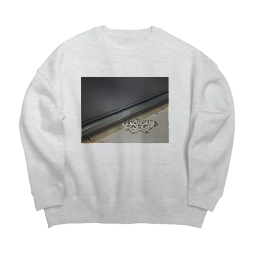 わしのしゃしん2 Big Crew Neck Sweatshirt