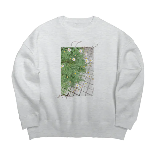 Cosmos? Big Crew Neck Sweatshirt