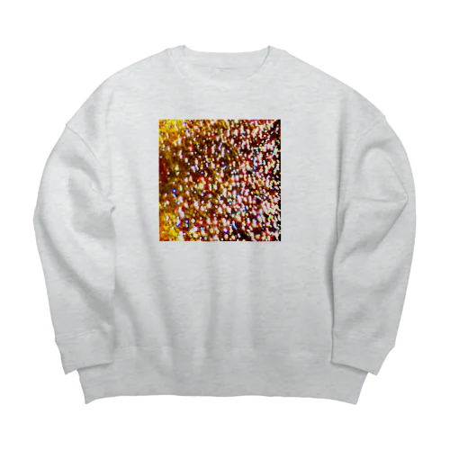 sparkle Big Crew Neck Sweatshirt