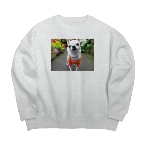 カラフルチワワ（フラワー） Big Crew Neck Sweatshirt