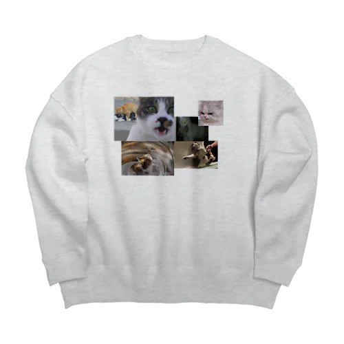 crazycats Big Crew Neck Sweatshirt