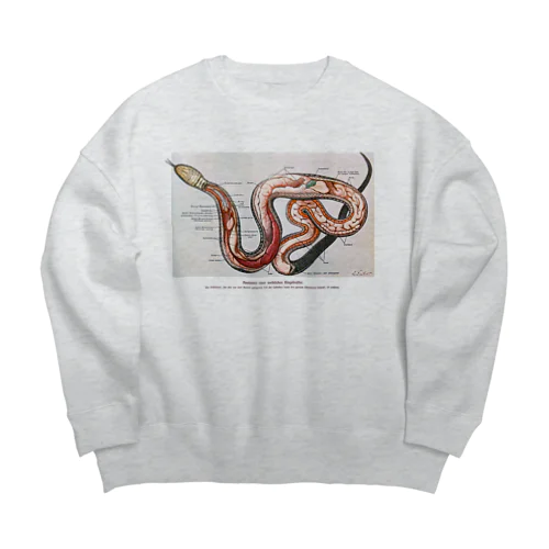 ヘビの解剖 Big Crew Neck Sweatshirt