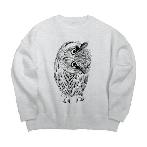 首を傾げてるアフリカオオコノハズク Big Crew Neck Sweatshirt