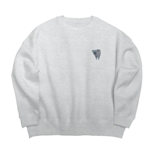 y Big Crew Neck Sweatshirt