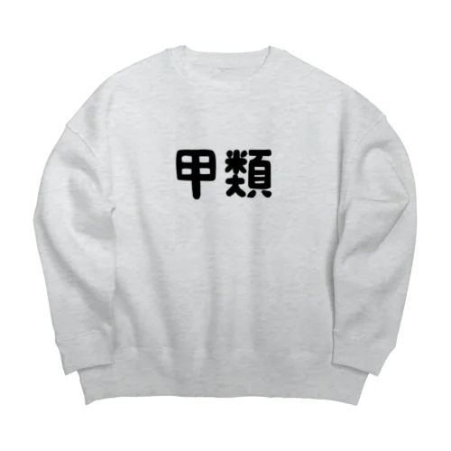 甲類 Big Crew Neck Sweatshirt