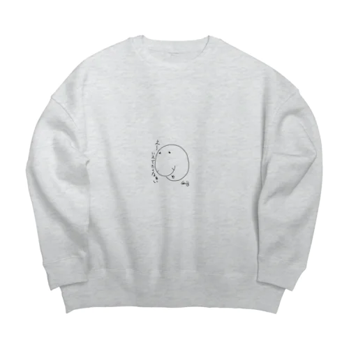 いえからでたくなくなる服 Big Crew Neck Sweatshirt