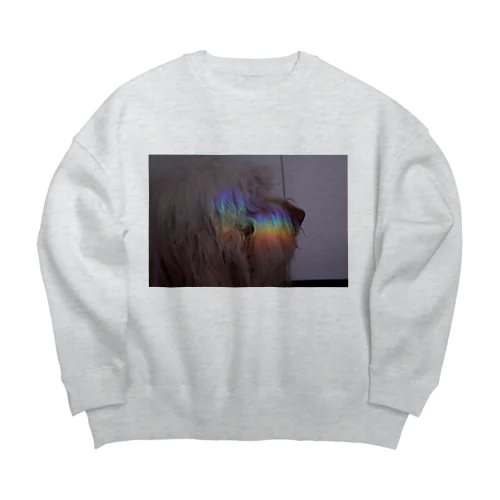 rainbow dopey Big Crew Neck Sweatshirt