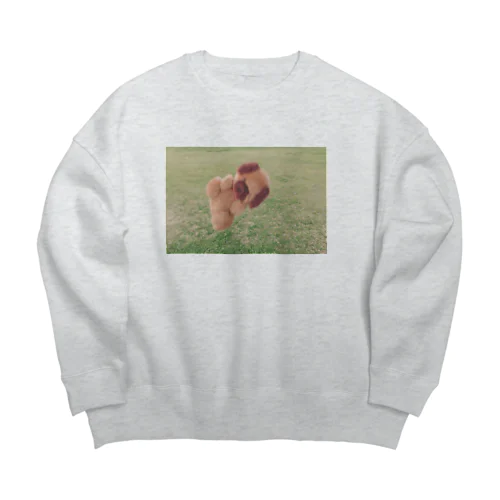 軽やかいぬ Big Crew Neck Sweatshirt