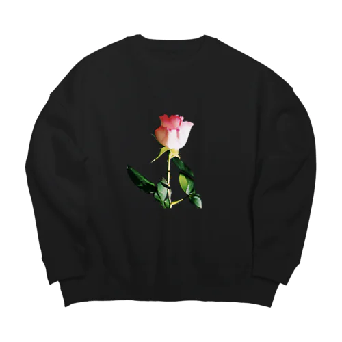 🌹 Big Crew Neck Sweatshirt