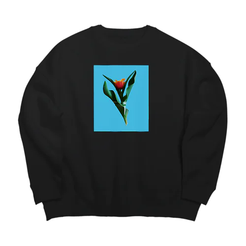 Tulipa cv. lambada Big Crew Neck Sweatshirt