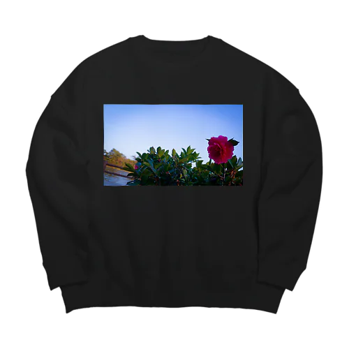 SATF Big Crew Neck Sweatshirt