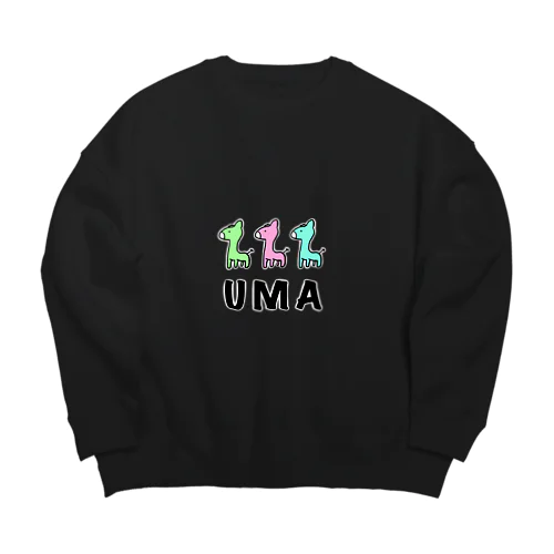 カラフルウーマ Big Crew Neck Sweatshirt