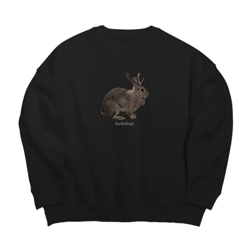 未確認動物 Big Crew Neck Sweatshirt