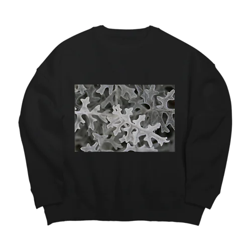 ASID Big Crew Neck Sweatshirt