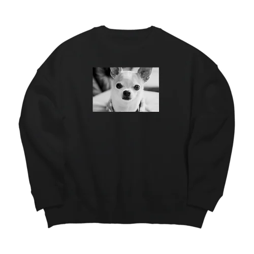 モノクロチワワ（おすまし） Big Crew Neck Sweatshirt