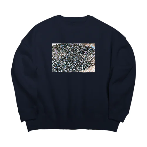 反転した春 Big Crew Neck Sweatshirt