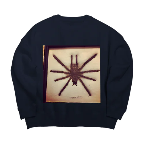 クロイスパイダーマン Big Crew Neck Sweatshirt