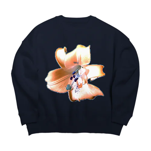 Lily (Twilight Colour) Big Crew Neck Sweatshirt