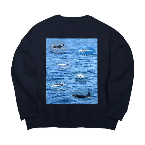 船上から見た鯨類(1) Big Crew Neck Sweatshirt