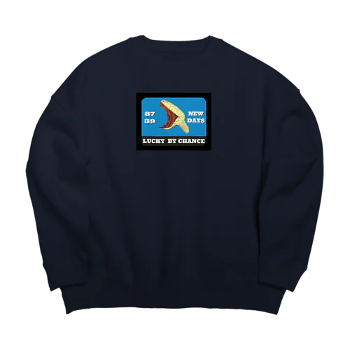 NEW DAYS Big Crew Neck Sweatshirt