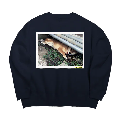 熱中症対策犬 Big Crew Neck Sweatshirt