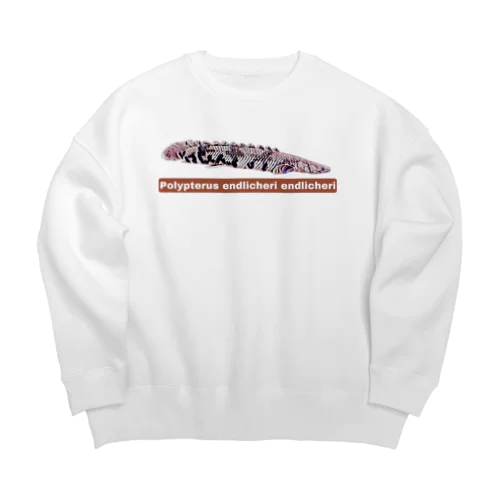 ポリプテルス・エンドリケリー01　by RA Big Crew Neck Sweatshirt