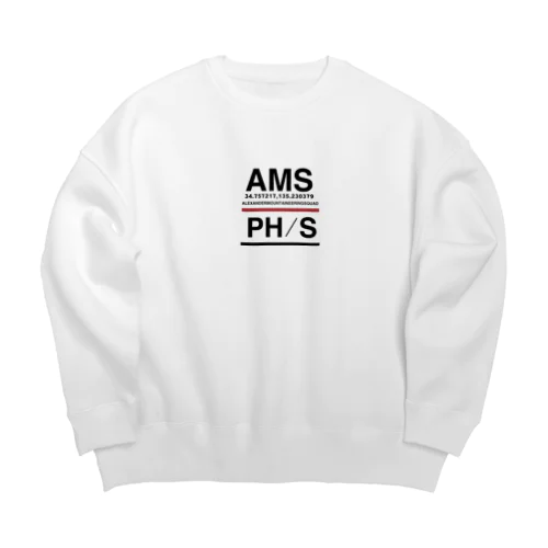 アレキサンダーマウンテンニアリングスクワッド Big Crew Neck Sweatshirt