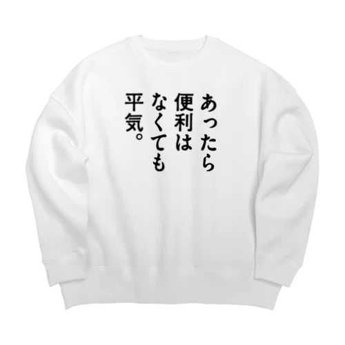 あったら便利はなくても平気。 Big Crew Neck Sweatshirt