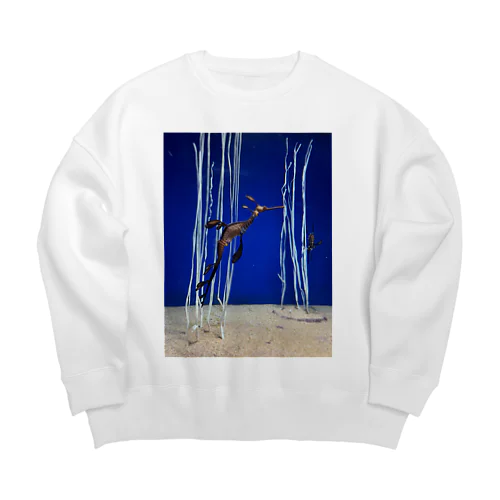 ウィーディ·シードラゴン Big Crew Neck Sweatshirt