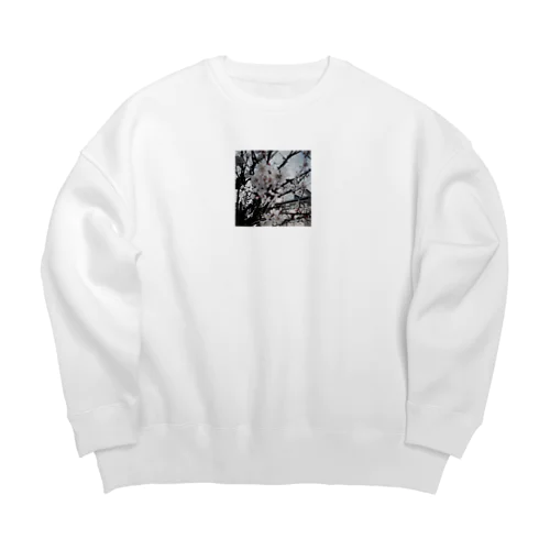 外で適当に撮った桜 Big Crew Neck Sweatshirt