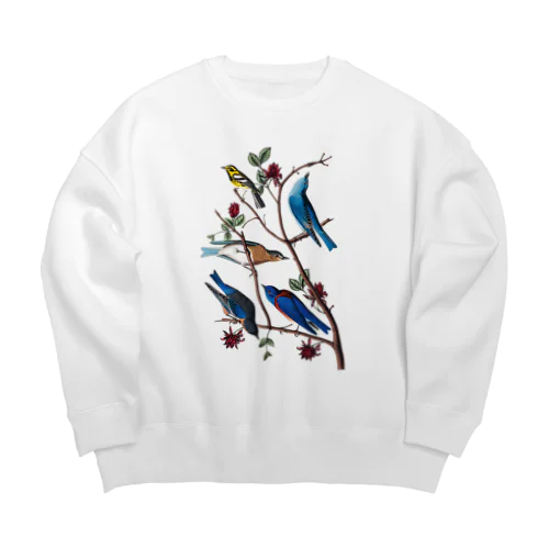 ムジルリツグミ、チャカタルリツグミ、タウンゼントアメリカムシクイ Big Crew Neck Sweatshirt