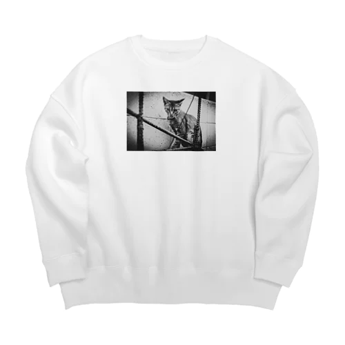 虎猫 Big Crew Neck Sweatshirt