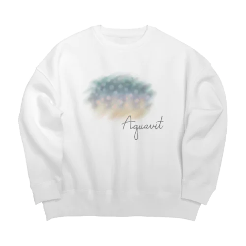 イワナ_N/IWANA_N 01 #L Big Crew Neck Sweatshirt