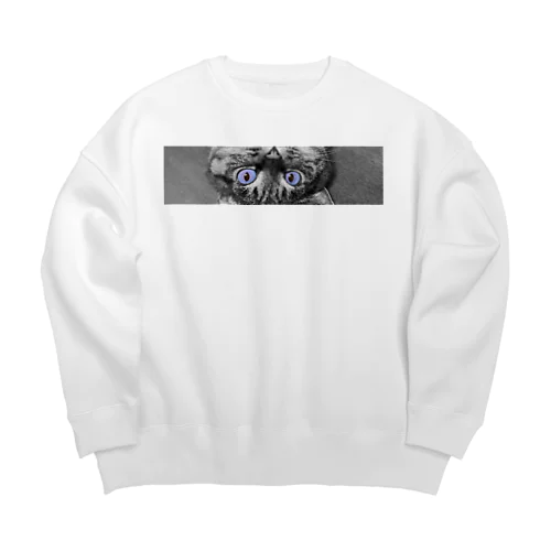 BLUE YEY Big Crew Neck Sweatshirt