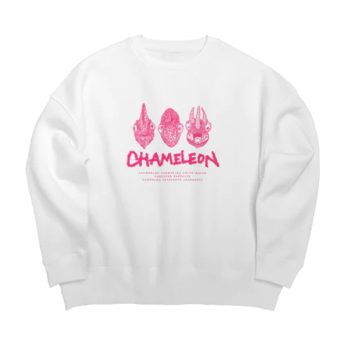 the chameleon Big Crew Neck Sweatshirt