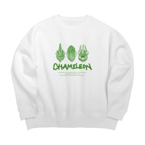 the chameleon Big Crew Neck Sweatshirt